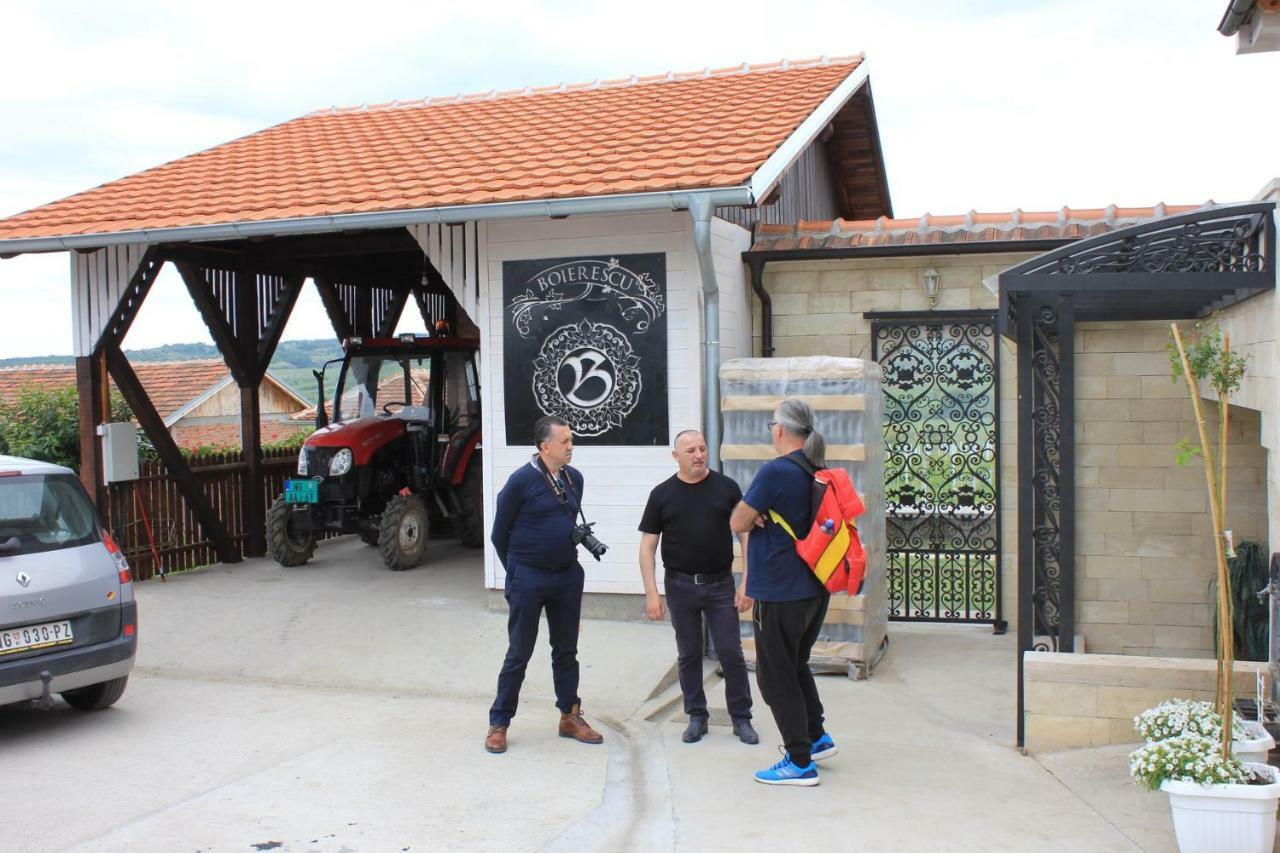 Apartmani Bojeresku Неготин Екстериор снимка